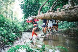 BIB: 
                            <button type="button" onclick="openModal(25465268)" class="btn btn-primary btn-sm float-right btn-popup" data-toggle="modal" data-target=".modal-high-quality">
                        <i class="fas fa-shopping-cart"></i> Add to Cart
                    </button>
                                            <button type="button" onclick="isThisMe(25465268, true)" class="btn btn-success btn-sm float-right btn-popup btn-isme hidden" data-toggle="tooltip" data-placement="bottom" title="นี่คือรูปของคุณใช่ไหม คลิกที่นี่เพื่อเอาเข้าอัลบั้ม">
                        <i class="fas fa-plus"></i> Add to album
                    </button>
                    <button type="button" onclick="isThisMe(25465268, false)" class="btn btn-warning btn-sm float-right btn-popup btn-isnotme hidden">
                        <i class="fas fa-ban"></i> Remove from album
                    </button>